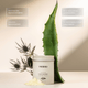 Versi Face Cleanser jar shown with a large aloe vera leaf, arctium lappa flowers, and a small pile of powder on a warm beige background, with ingredient callout text overlays.